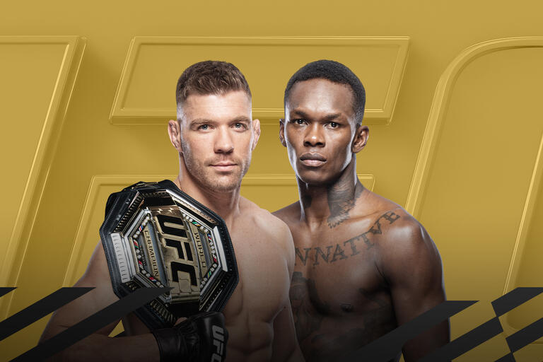 UFC 305 bonuses for Du Plessis vs. Adesanya