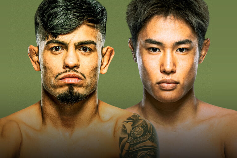 Brad Tavares vs. JunYong Park fight preview